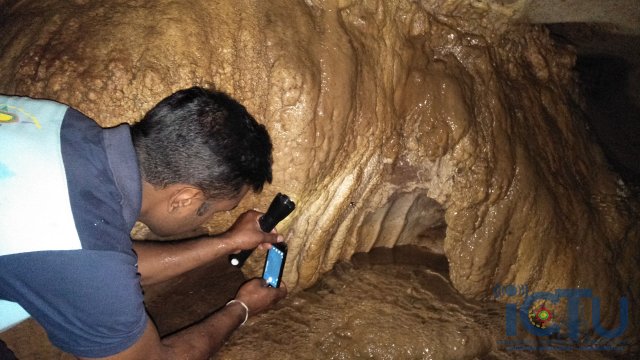 රොටුපිහිල්ල හිරිගල් ගුහාව - හඟුරන්කෙත