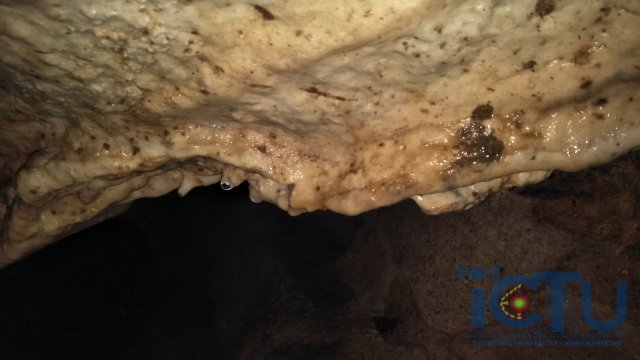 රොටුපිහිල්ල හිරිගල් ගුහාව - හඟුරන්කෙත